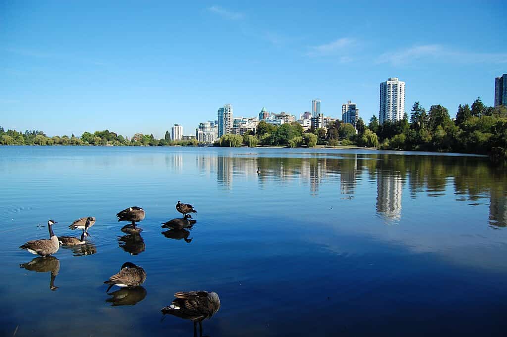 O que fazer em Vancouver, Stanley Park