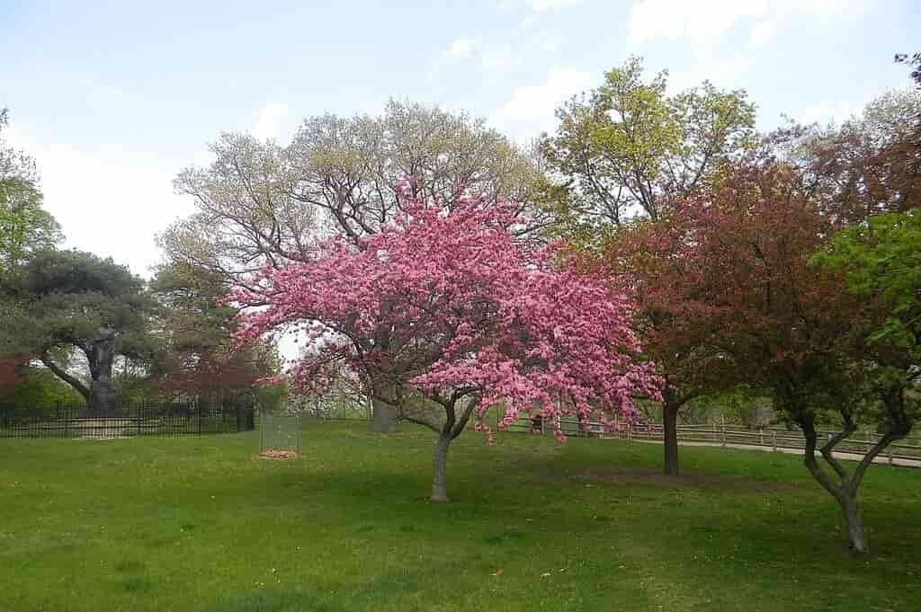 O que fazer em Toronto, High Park