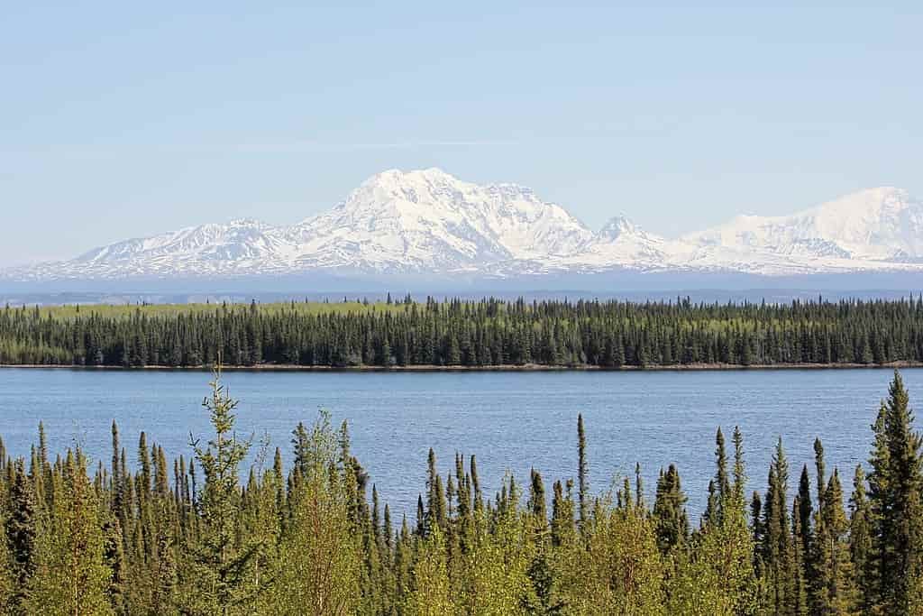 Parque Nacional de Wrangell St. Elias