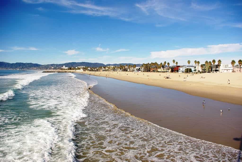 Praias da Califórnia, Venice Beach